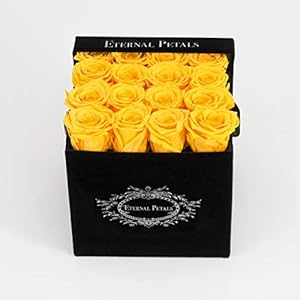 100% Real Roses That Last A Year – The Perfect Unique Gift for Women, Men, Anniversary Gift, Birthday Gift – Black Velvet (Yellow)