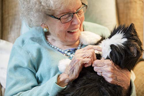 Joy For All - Black & White Tuxedo Cat - Interactive Companion Pets - Realistic & Lifelike #TOP6