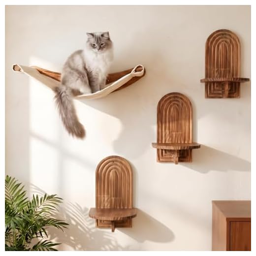 Cat Wall Shelves, Farmhouse Cat Wall Mounted Furniture for Indoor Cats