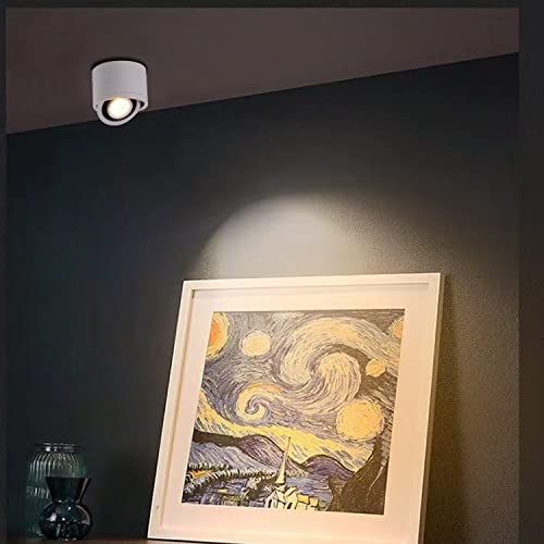 AIRTWESD 7W Spot da soffitto a LED orientabile con...