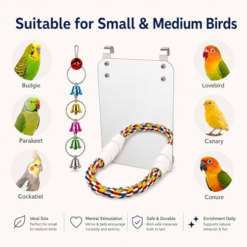 Image of 7 inch Bird Mirror with Rope Perch Bird Toys Swing, Comfy Perch for Greys Amazons Parakeet Cockatiel Conure Lovebirds Finch Canaries