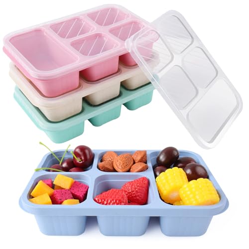 PHILORN 4 Pack Bento Box, Shatterproof Snack Container, 5 Compartment Meal Prep Containers, Lunch & Travel