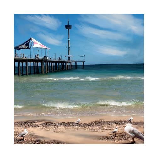 Trademark Fine Art 'Brighton Beach Day' Canvas Art by Anthony Christou