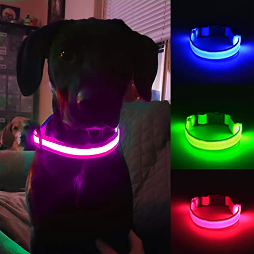 Omni Soulmate Led Dog Collar - Light Up Collars For Dogs At Night, Small & Large Dogs, Personalized Dog Collars, Lighted Dog Collars, Dog Collar Light #TOP2