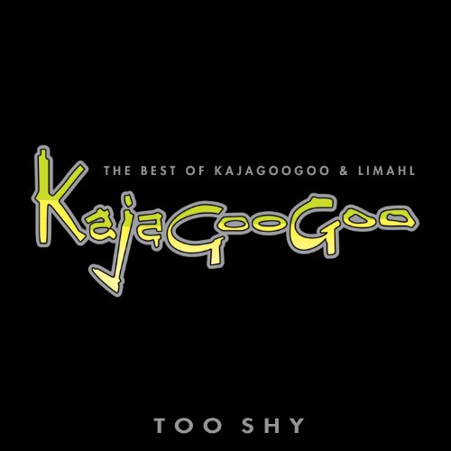 Kajagoogoo & Limahl