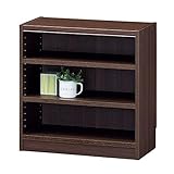 白井産業 組み合わせ自由なフリーラック シェルフ 本棚 豊富なサイズバリエーションでどんな部屋にも合わせやすい 棚板耐荷重10kg ダークブラウン 幅59 高さ60 奥行29cm TNL-6059DK タナリオ