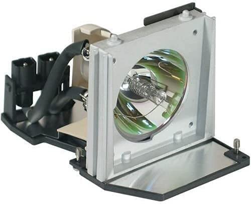 EC.J1001.001 Ampoule de Remplacement pour projecteur avec boîtier pour Acer PD116PD / PD521D / PD523 / PD523D / PD525 / PD525D