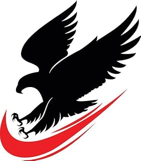 イーグル 画像カラー STICKER JAPAN 各約長辺12センチ カッティングステッカー シール 切文字 カーステッカー 防水 耐水 耐久 車 カーステッカー デカール パソコン ストーブ コンロ スマホ スーツケース q33