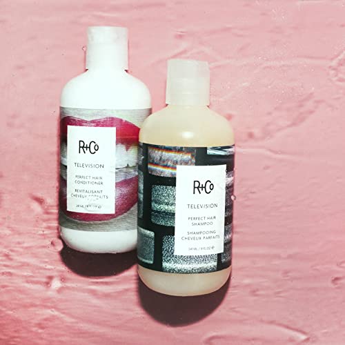 R+Co Television Perfect Hair Shampoo | Body + Shine + Smoothing For All Hair Types | Vegan + Cruelty-Free | 8.5 Oz #TOP1