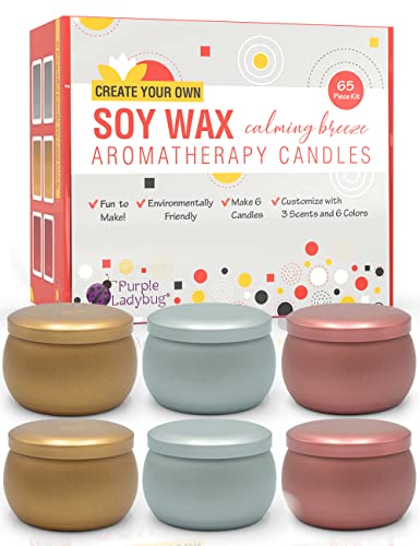 PURPLE LADYBUG Easy & Complete Candle Making Kit with Essential Oils - DIY Arts and Crafts for Adults Women - Full Candle Making Kits for Beginners & Teens - Make Your Own Scented Candles Gifts