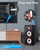 RIIEYOCA 6.35mm to 2 RCA Splitter Audio Cable,1/4 inch TRS Stereo Jack Female to Dual RCA Male Plug Cable for Sound Mixers, Amplifier, AV Receiver (1.8m/5.9ft) - Image 4