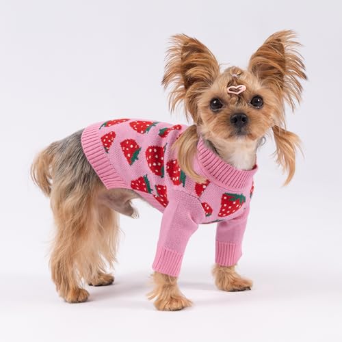 Image of Fitwarm Adorable Strawberry Dog Sweater, Thermal Dog Winter Clothes for Small Dogs Girl, Pet Outfit, Pink, Red, White, Green, XS