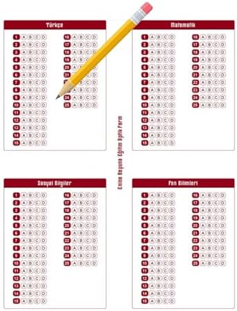 2026 6. Sınıf Bursluluk Sınav Seti (6 Fasikül Kitap) - Görsel 6