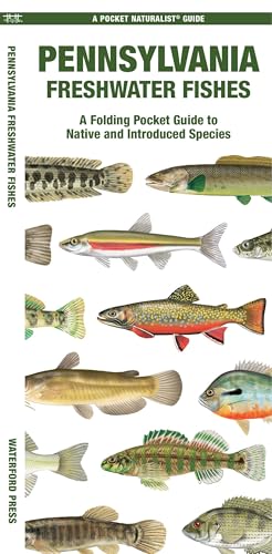 Pennsylvania Freshwater Fishes: A Folding Pocket Guide to Native and Introduced Species (Nature Observation North America)