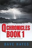 Q Chronicles Book 1