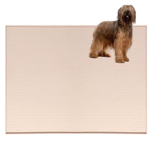 Lifetips uA[hiBriardj gC}`FX^[eA ybggC}bg VR h ~ 􂦂  L V[gh~ g[p t[Oی ybggC}bg VR}bg ΍ gCV[gŒ 