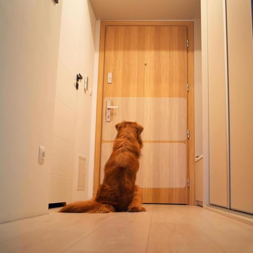 Kratzschutz für Türen, Kratzschutz für Hunde | Transparenter Türrahmenschutz, Selbstklebender Möbelschutz, Kratzschutz für Hunde und Katzen Verhindert Kratzer und Schäden (Weiß1)