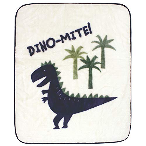 Image of Hudson Baby Unisex Baby High Pile Plush Blanket, Dinomite Dinosaur, One Size