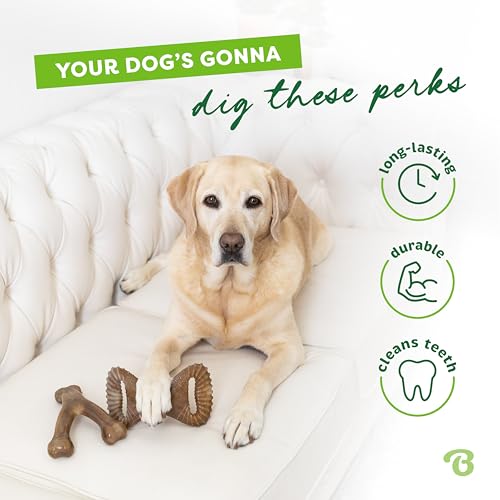 Image of Benebone 2-Count Wishbone /Dental Durable Dog Chew Toys, Real Bacon, Small (Pack of 10)