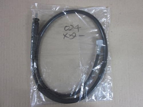 Xs[h[^[P[u 024 gJu C50 AA01 [^[P[u [^[C[ LITTLE CUB OX A