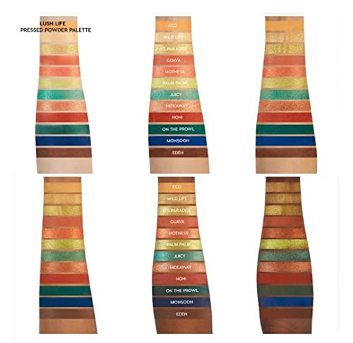 Lush Life Eyeshadow Palette #TOP3