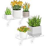 Lifewit 2 Pack Estantería para plantas de alféizar Sistema de estanterías acrílicas resistentes con ventosas Estantería extensible para plantas suculentas y miniaturas de interior