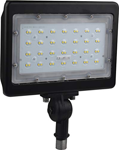 Image of Nuvo 65 /539 LED Large Flood Light, Bronze