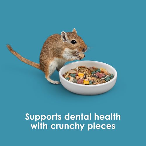 Kaytee Forti-Diet Pro Health Nourish+Protect Hamster Food & Gerbil Food - image 8