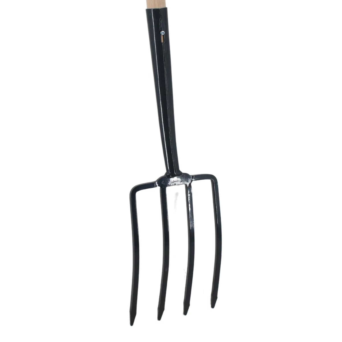 Rekord Grabegabel (Stahl, pulverbeschichtet) mit 4 Zinken, Schwanenhals und 76 cm T-Stiel aus Buchenholz, Arbeitsbreite: 18 cm, ideal zum Umgraben und um Böden aufzulockern