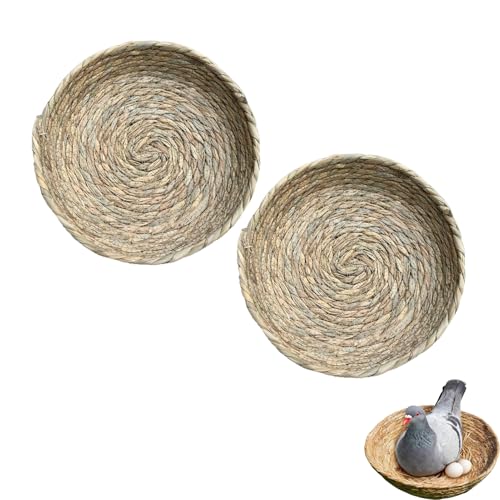 {̑Xg[ ̑fޑ ETM zp{̑ pm҂ݎYxbh GR{Bpi _fUC[ {Yޏ XY̑ȂA琗zAdAm̑A{̑A{ɂ̑A{̏ (ng̑ӂł