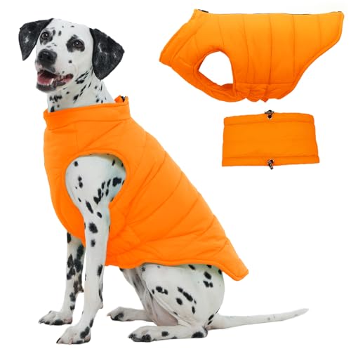 LeleTail Large Dog Winter Coat with Back Zipper & Detachable