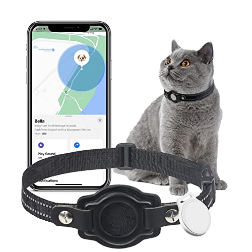 Top 10 Picks Best Bluetooth Cat Collar For 2024 Glory Cycles