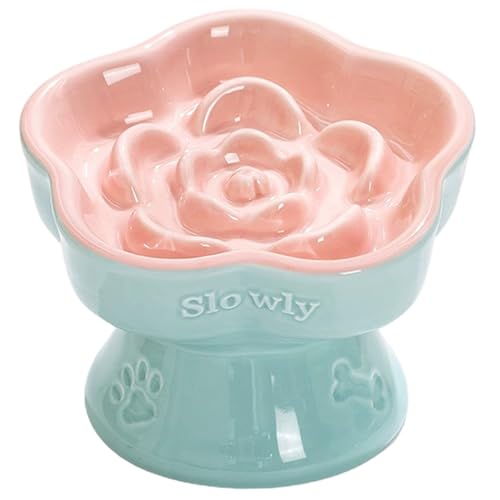 Gamelle pour chat inclinée et surélevée en céramique anti-glouton
