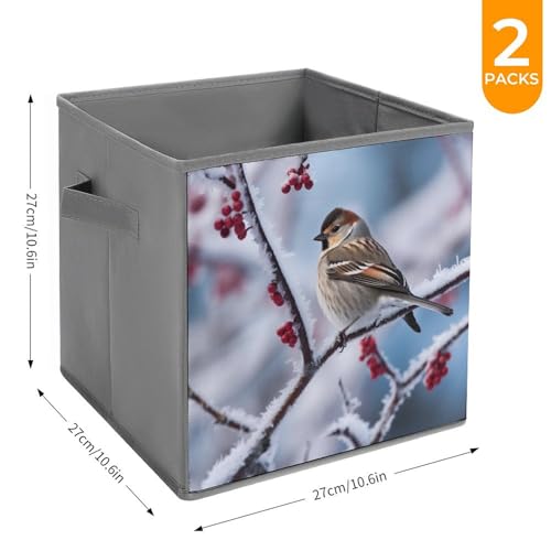 Panier de rangement pour étagères et placards avec boîtes pliables