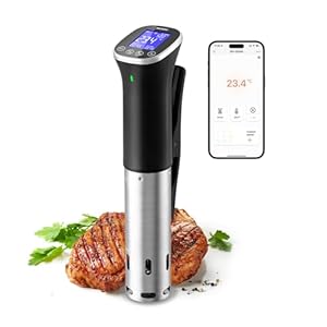 INKBIRD Wifi Sous-vide, ISV-300 W WLAN professionele keukenroner, 0-90 °C lage temperatuur koken en timer, app-recepten, lcd, 1000 W, IPX7 waterdicht, ± 0,1 °C nauwkeurige en constante temperatuur