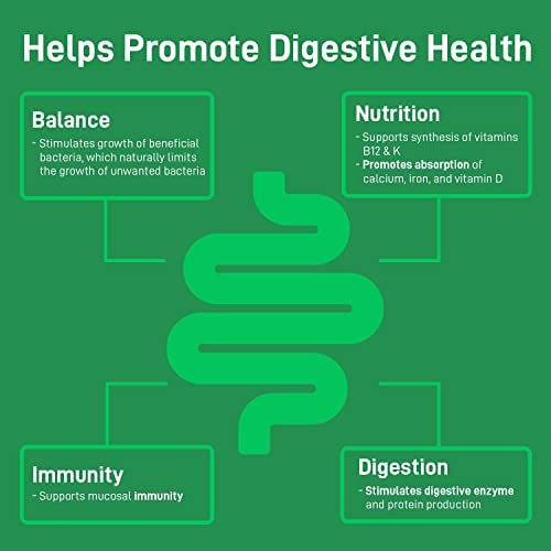 Omegaxl Shelf Stable Probiotic & Prebiotic Blend 30 Veggie Caps And Turmericxl Joint Support & Healthy Inflammatory Response 30 Veggie Caps #TOP5
