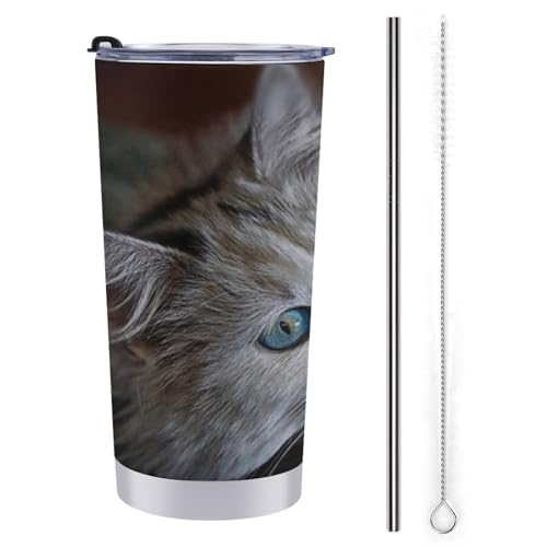 L   XeX}OJbv X^CbV 600ml ۗ ۉ Wt ^u[ L d\ fM ڂȂRbv ݑԗp