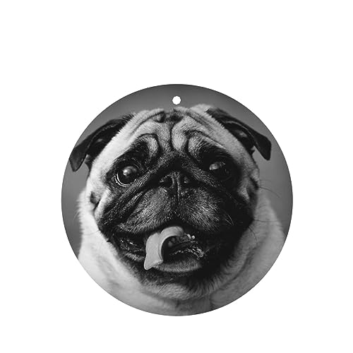 ʔpOq  F p[\iCYꂽXCX J[A}Zs[^ubg ݂艺F܃J[h [vt 4 ԂƂ̑p