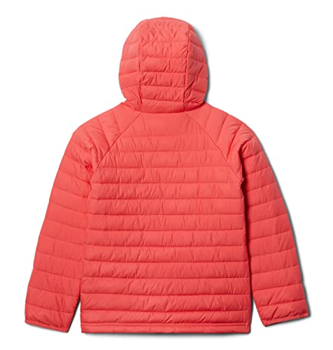 Columbia Toddler Girls Powder Lite Hooded Jacket, Blush Pink, 3T #TOP1