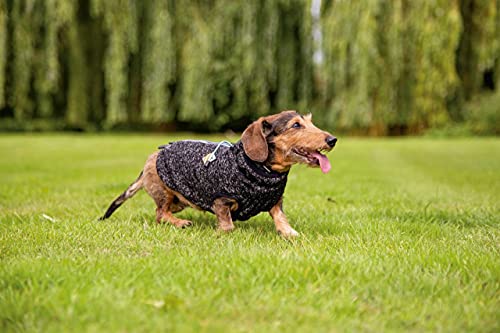 BZ DOG SWEATER CELIA, DARK GREY 36 CM