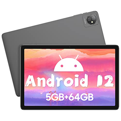 Tablette SGIN Android 12 - 10,1 Pouces - 64 Go + 2 Go RAM - Extensible TF