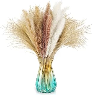 Fadun Pampas Grass 50 Stems 17.7"/45cm Pampas Grass Decor Natural Dried Flowers Bouquet for Home Decor Flower Arrangements Boho Decor