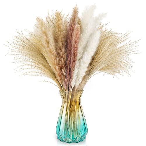 Fadun Pampasgras Getrocknetes,50 Pcs Pampasgras Deko Trockenblumen,45cm Natürliches Pampasgras Groß,Getrocknete Blumen Deko Pflanzen,Boho Deko für Balkon Zuhause Hochzeitsdeko Cover