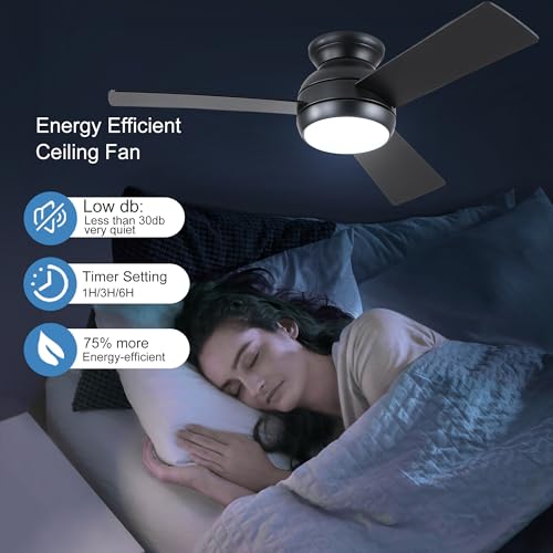 Pochfan POCHFAN-1123 42 Inch Ceiling Fans thumb #4