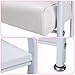 Udefineit Stable Esthetician Foot Bath SPA Trolley Cart(No Wheels), Pedicure Stool with Foot Rest Stand, Foot Massage Station for Beauty Salon Nail/Home, Pedicure Manicure Massage Table Salon Supplies