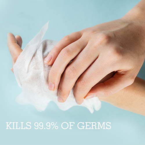 Image of Cleanze Antibacterial Hand Sanitizing Wipes with Aloe, Alcohol-Based Resealable Soft Pack for On-the-Go Hand Cleaning, Helps Reduce Germs Without Water, Travel-Friendly Pack, 100 Wipes (Pack of 12)