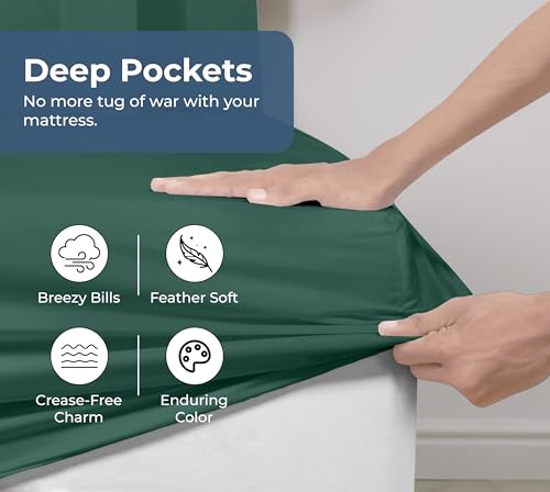 Image of Royale Linens 100% Organic Cotton Fitted Sheet - Percale Weave - Super Soft Deep Pocket Bottom Sheets - Elastic Sheet Twin XL Size - Twin XL Fitted Sheets Only - (39 inchx80 inch+15 inch, Hunter Green)