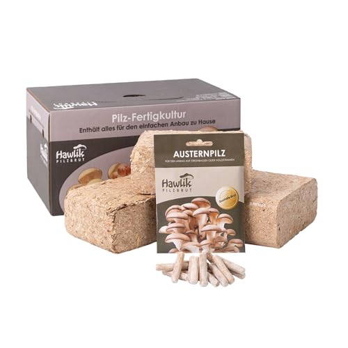 Hawlik Pilzbrut - Kit cultivo de la seta ostra - setas autocultivo para el jardín - cosechar setas de ostra frescas - kit cultivo setas para el jardín