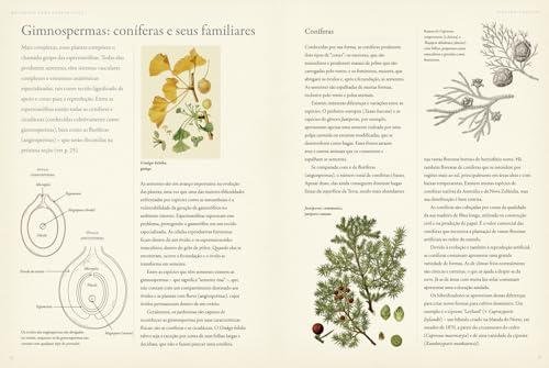 Botânica para Jardinistas