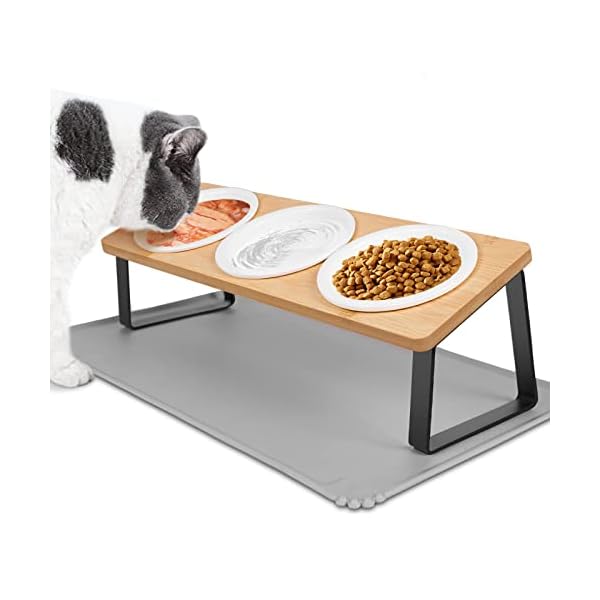 Otauoaea Katzennapf Erhöht - 3X Futternapf Katze aus Keramik mit Napfunterlage Silikon - 15° gekippte Futterstation Katzen Napfset Hundenapf - Fressnapf und Wassernapf für Katzen und Kleine Hunde